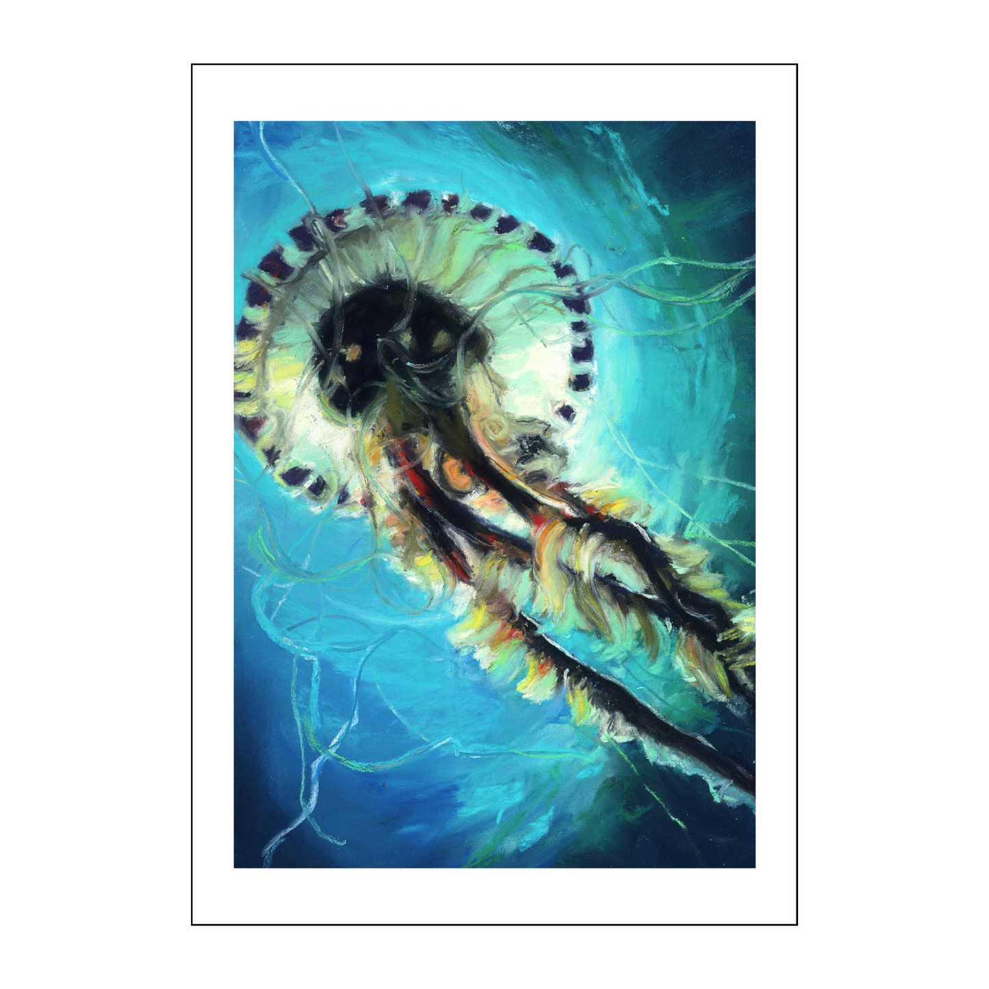 Compass Jellyfish